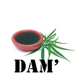 E-liquide CBD DAM' 50